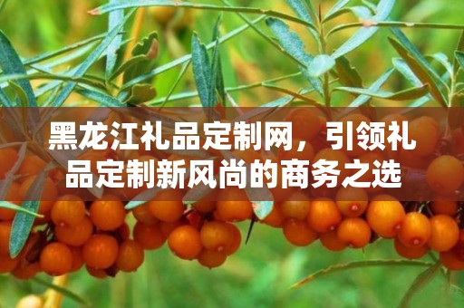 黑龙江礼品定制网，引领礼品定制新风尚的商务之选