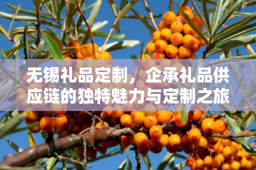 无锡礼品定制，企承礼品供应链的独特魅力与定制之旅